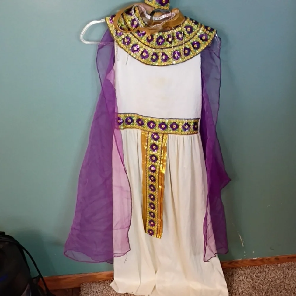 Kids Egyptian Costume with Purple and Gold Accents Size Girls Large 10/12